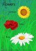 Bees Like Flowers printable poster