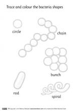 Meet Bacteria printable poster bacteria shapes